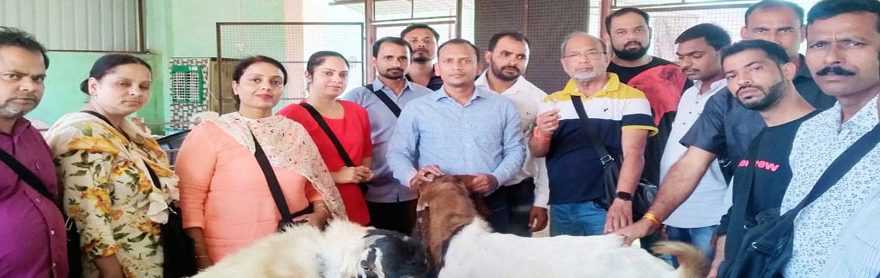GIC Commercial Goat Farming Training Centre