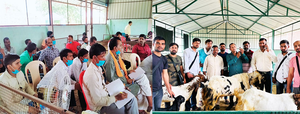 GIC Commercial Goat Farming Training Centre, Mathura